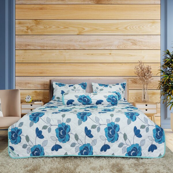 Blankets and pillows