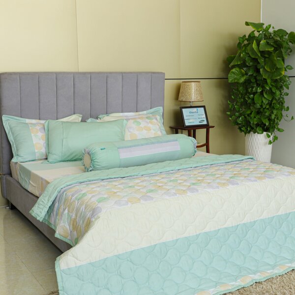 Blankets and pillows