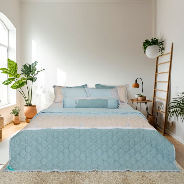 Blankets and pillows