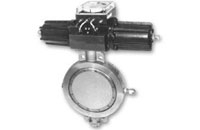 Butterfly valve