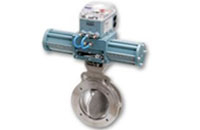 Butterfly valve