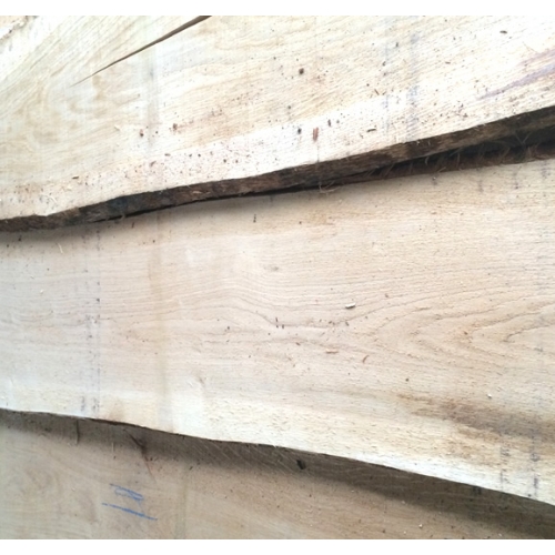 Oak Wood