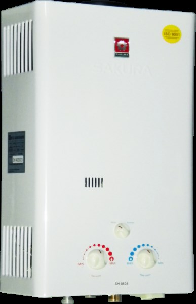 Gas water heater