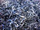 Iron scrap