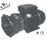 Waterway filter pump