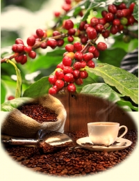 Minh Huy coffee
