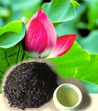 Lotus tea