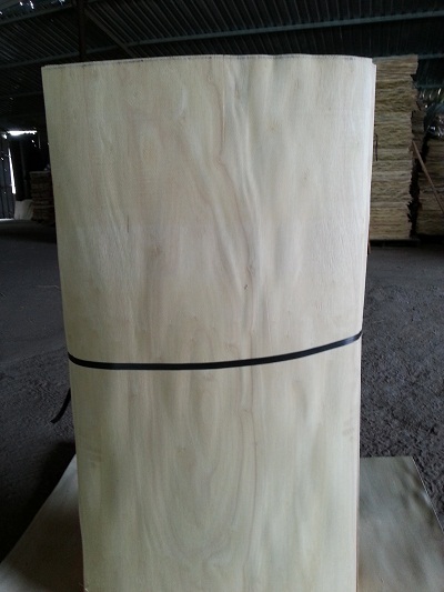 Veneer
