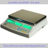 Counting scale