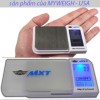 Pocket scale