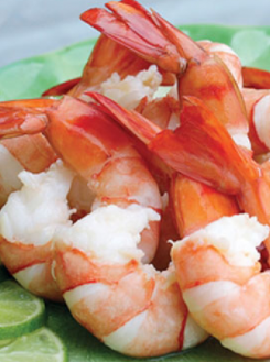 Black tiger shrimp