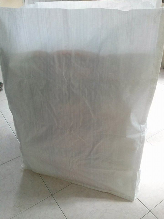 Box-shaped PP bag