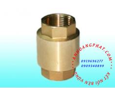 Brass spring check valve