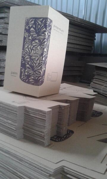 Duplex boxes