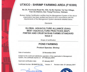 Certificate-2017