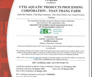 Certificate-2019