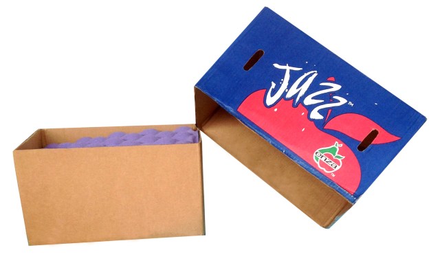 Carton Box