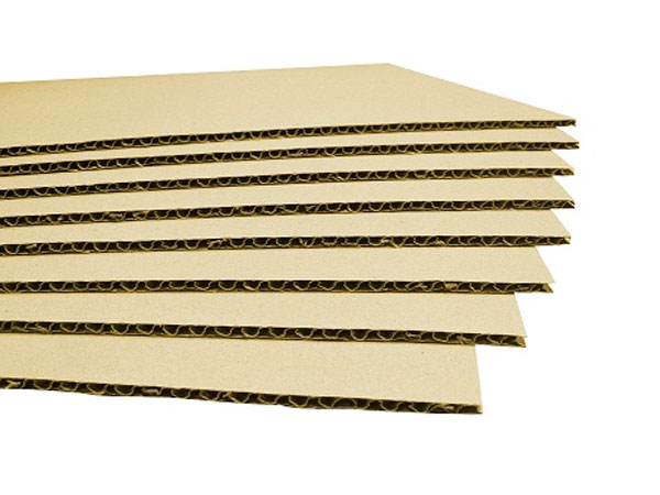 Carton sheets