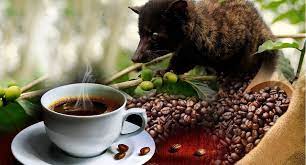 Weasel Coffee