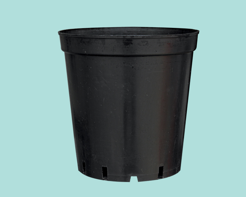 Solid pot