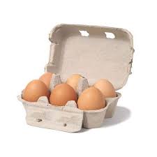 Paper Egg Box