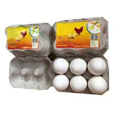 Paper Egg Box