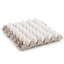 Paper Egg Tray
