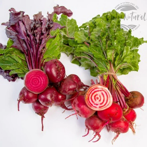 Mixed baby beetroot