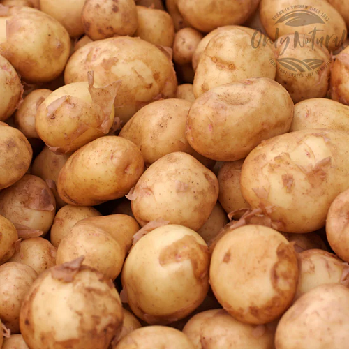 Yellow dutch potato