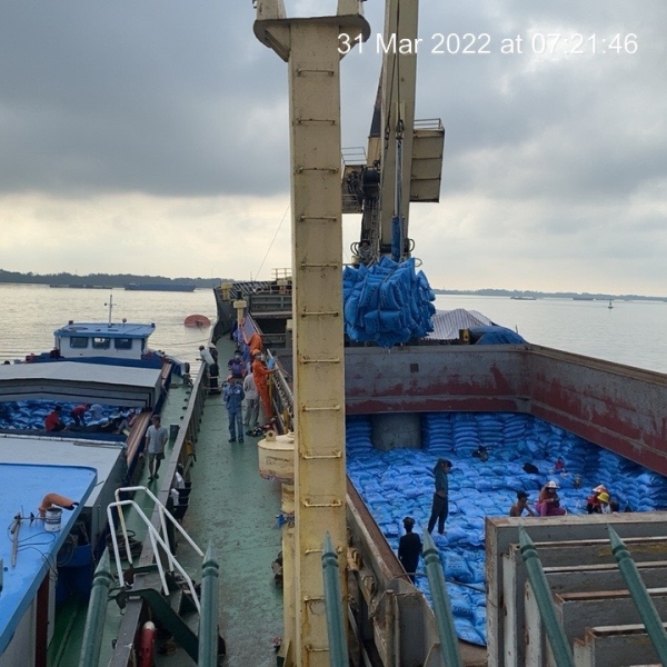 Shipping Transportation
