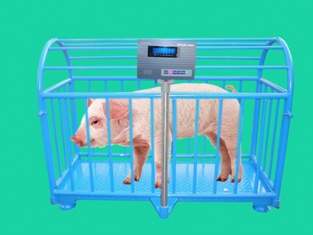 Livestock scale