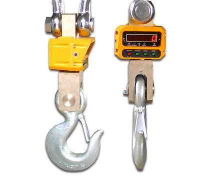 Crane scale