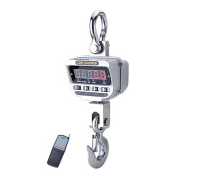 Crane scale