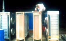 Evaporator
