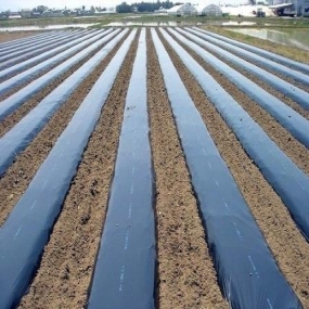 Agricultural film packaging