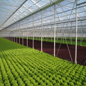 Agricultural film packaging