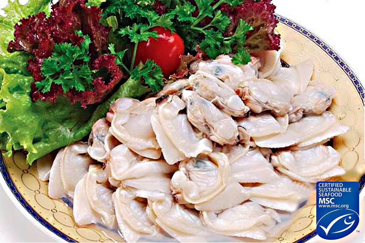 White clam