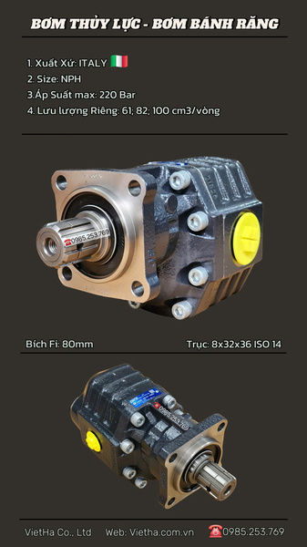 Hydraulic pumps