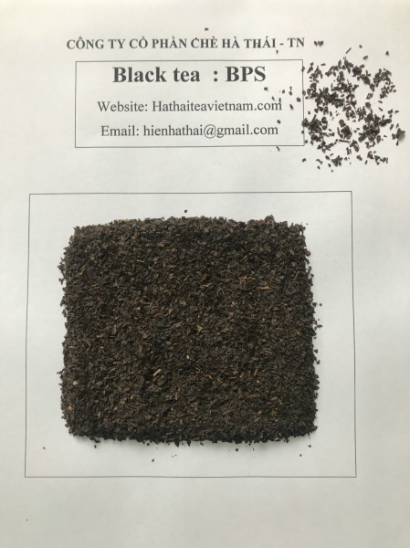 BPS Black Tea