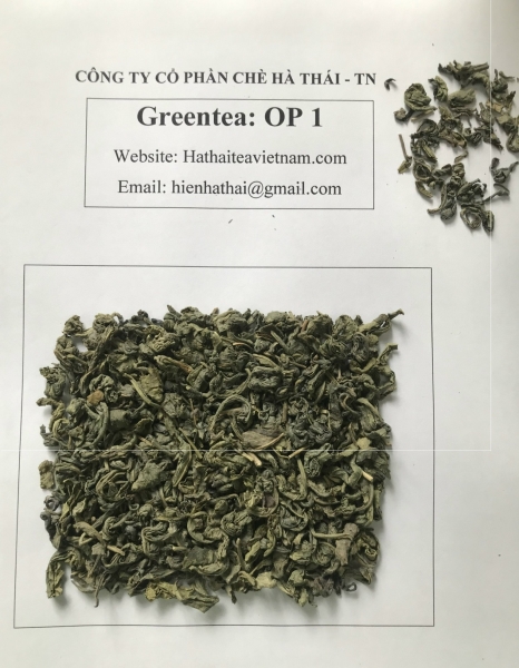 OP Green Tea
