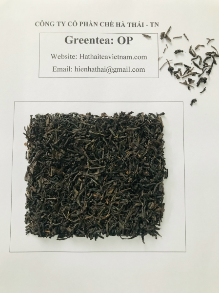 OP Green Tea