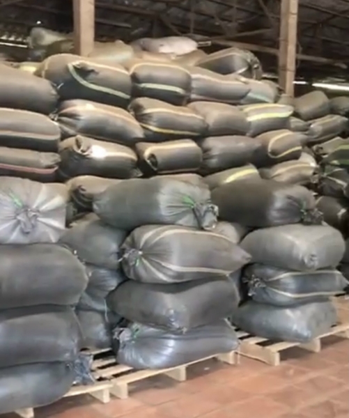 Export Tea