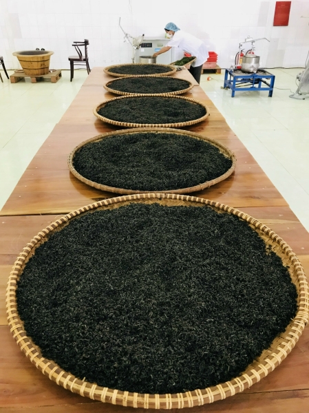 Export Tea