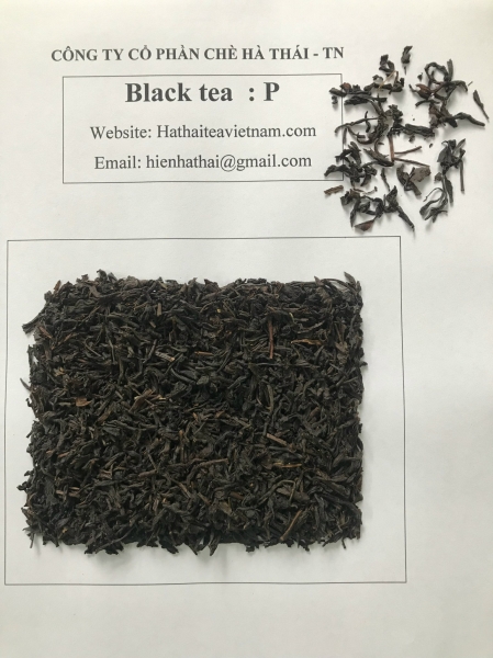 P Black Tea