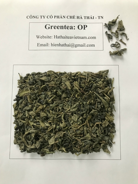 OP Green Tea