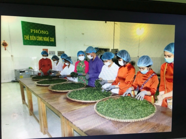 Tea Processing