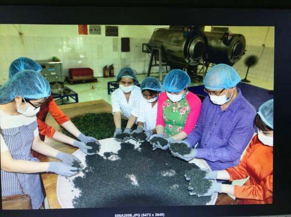 Tea Processing