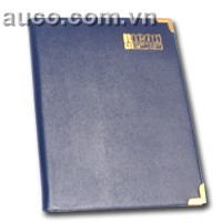 Ricoh leather book