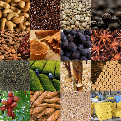 Agro-forestry products