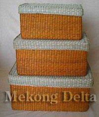 Box Seagrass